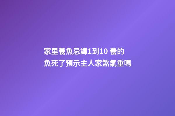 家里養魚忌諱1到10 養的魚死了預示主人家煞氣重嗎